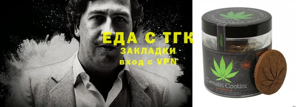 тгк Алзамай