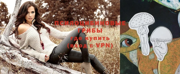 а пвп мука Алексин