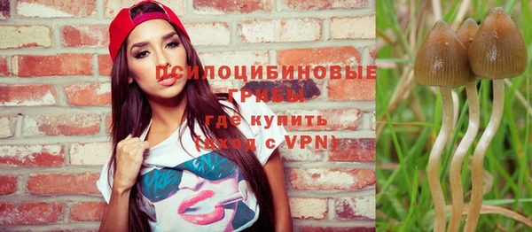 тгк Алзамай