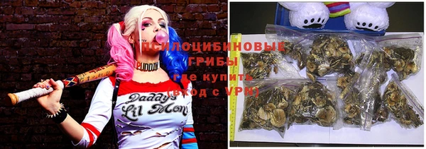 стафф Алексеевка