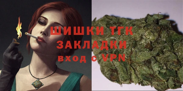 тгк Алзамай