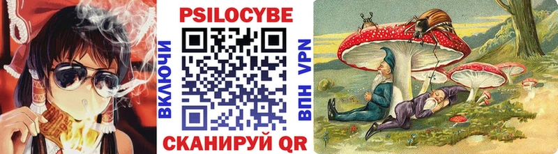 сколько стоит  Удачный  Галлюциногенные грибы Magic Shrooms 